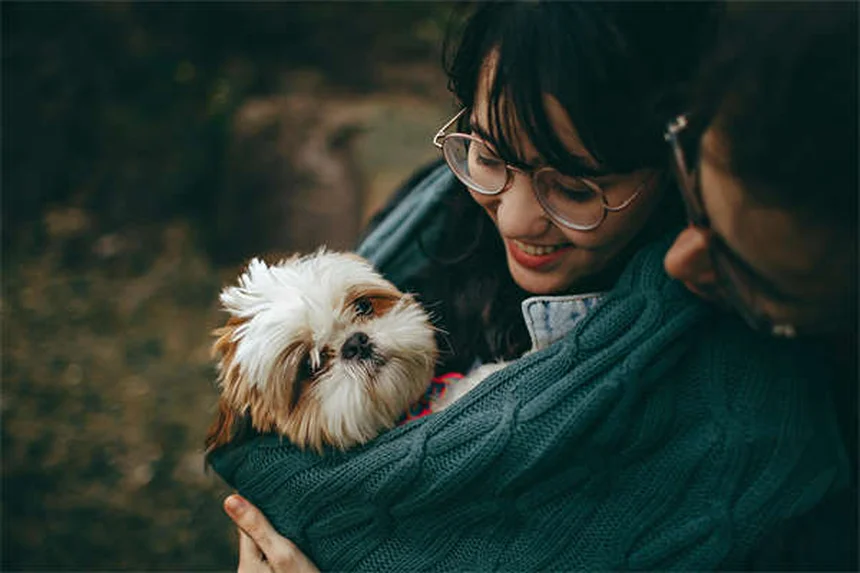 Como ajudar seu cão a perder peso: 5 benefícios incríveis